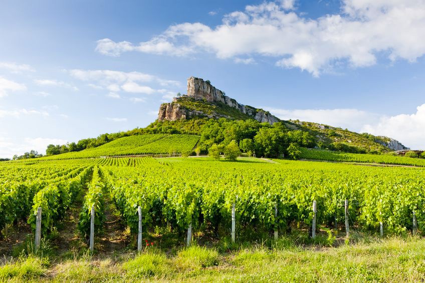 Bourgogne, une terre du savoir-vivre