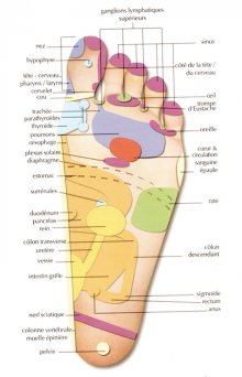 descriptif point pied 2